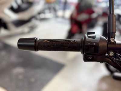 Benelli Leoncino 250 2022