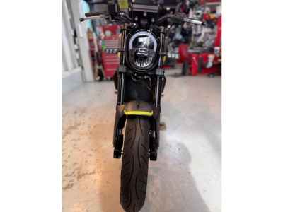 Benelli Leoncino 250 2022