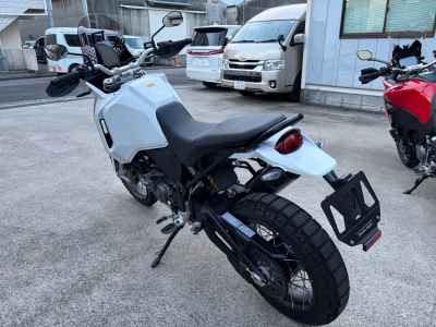 Ducati DesertX 2024