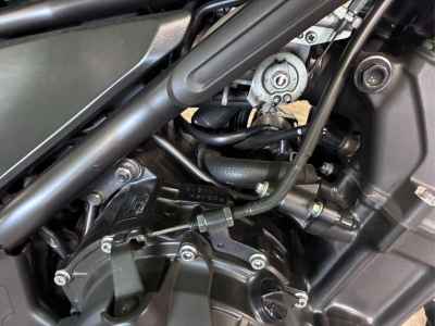 Honda Rebel CMX500 2021