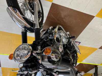 Kawasaki W800 2024