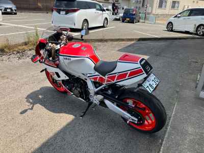 Yamaha XSR900 GP 2024