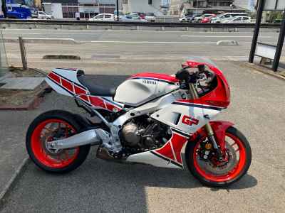 Yamaha XSR900 GP 2024