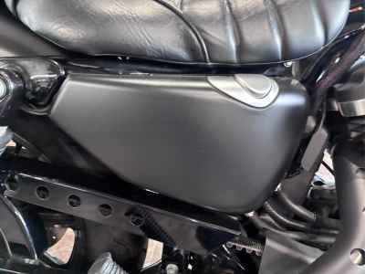 Harley-Davidson Sportster Iron XL883N 2018