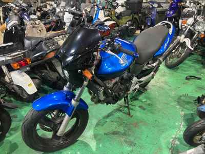 Honda Hornet 250