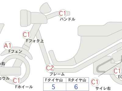 Suzuki Gemma 250