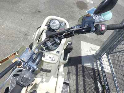 Honda PS250 Big Ruckus
