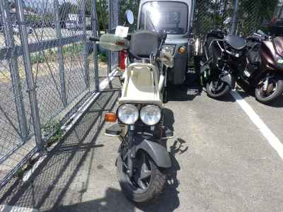 Honda PS250 Big Ruckus