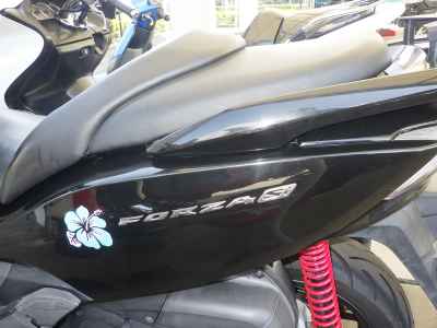 Honda Forza SI 2013