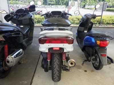 Yamaha Majesty 250C