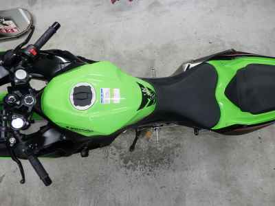 Kawasaki Ninja 250 2021