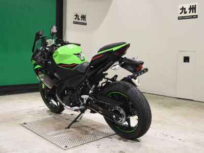 Kawasaki Ninja 250 2021