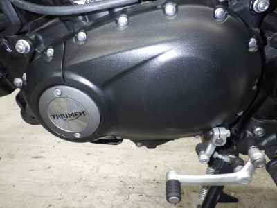 Triumph Speed 400 2024