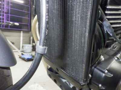 Triumph Speed 400 2024