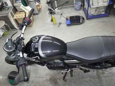 Triumph Speed 400 2024