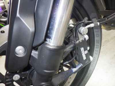 Triumph Speed 400 2024