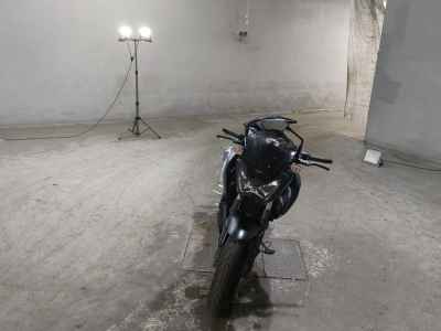Kawasaki Z250 2016