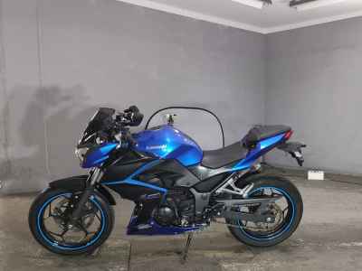 Kawasaki Z250 2015