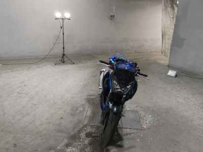Kawasaki Z250 2015
