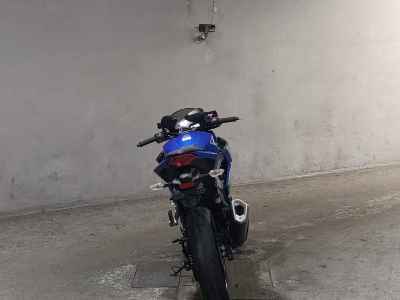 Kawasaki Z250 2015