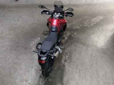 Triumph Tiger 2026