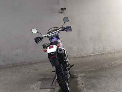 Suzuki DR250R