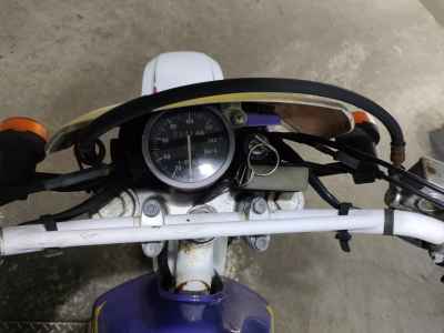 Suzuki DR250R