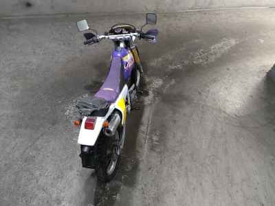 Suzuki DR250R