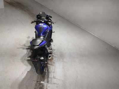Yamaha YZF-R3 2019