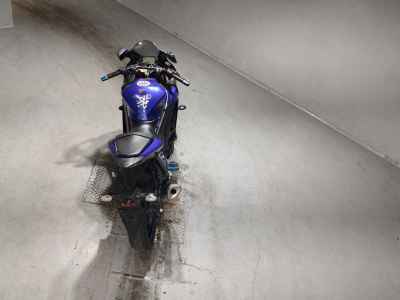 Yamaha YZF-R3 2019
