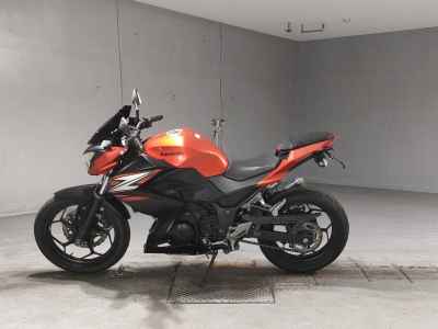 Kawasaki Z250 2013
