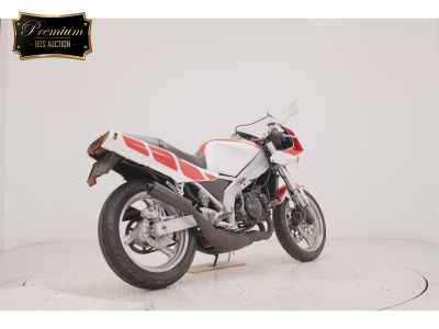Yamaha TZR250