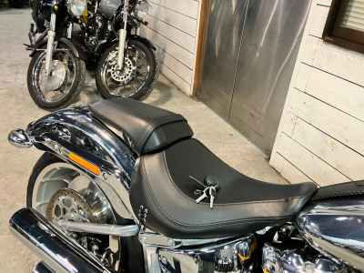 Harley-Davidson FLSTFI 2025
