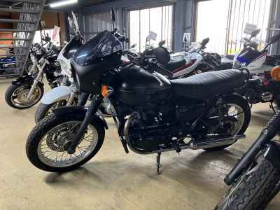 Kawasaki W800 2019