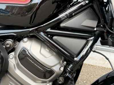 Harley-Davidson Nightster RH975S 2023
