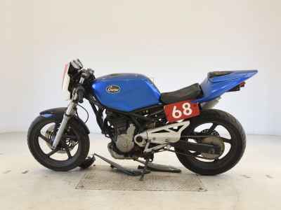 Suzuki Goose 250