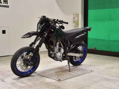 Kawasaki D-Tracker 250 X