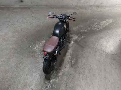 Mutt SAVAGE 250 2022