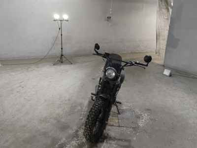 Mutt Mastiff 250 2022