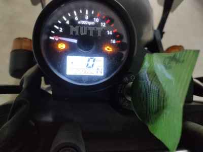 Mutt Mastiff 250 2022