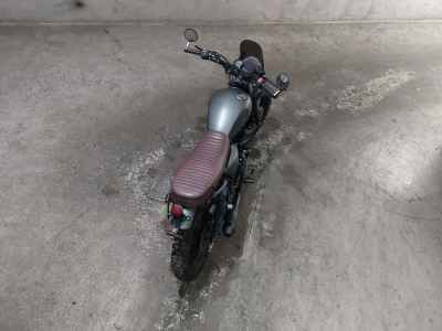 Mutt Mastiff 250 2022