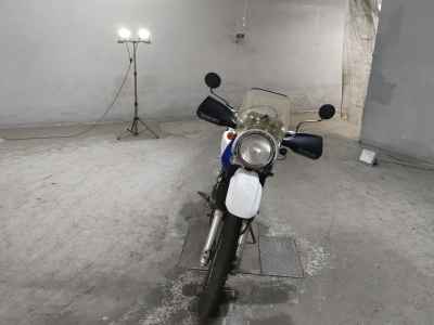Suzuki JEVEL 250 GPS