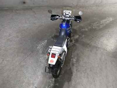 Suzuki JEVEL 250 GPS