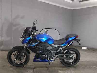 Kawasaki Z250 2015