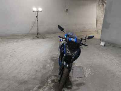 Kawasaki Z250 2015
