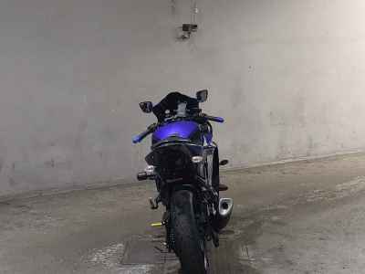 Yamaha YZF-R3 2019