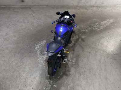 Yamaha YZF-R3 2019