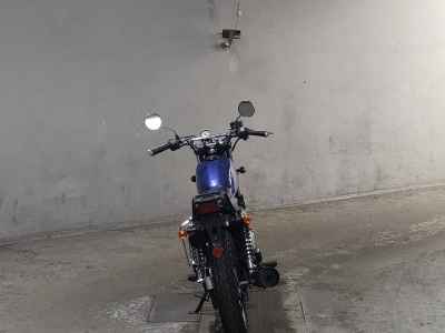 Suzuki GrassTracker Bigboy