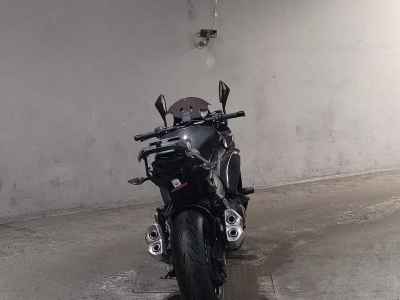 Kawasaki Ninja 1000 2019