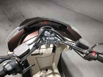 Yamaha Maxam 250